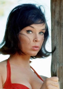 Yvonne craig nsfw